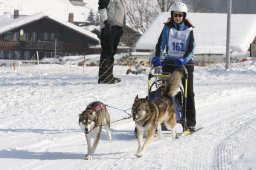 Lenk 2012 SM